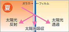 ウインドーフィルム利用夏